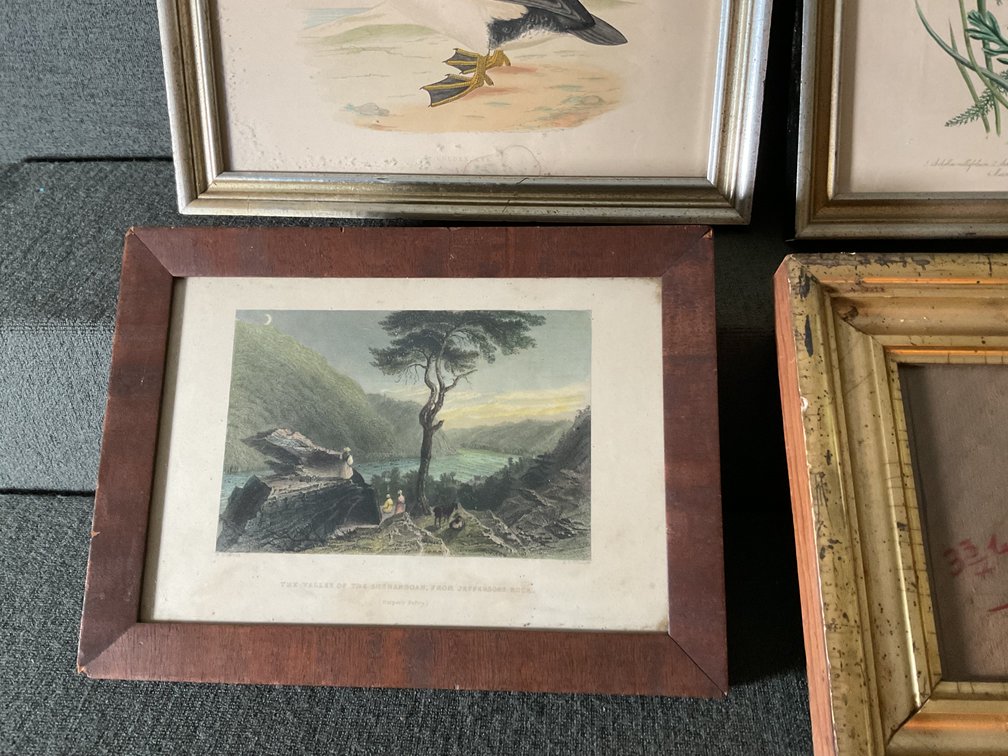 Image for Framed Prints