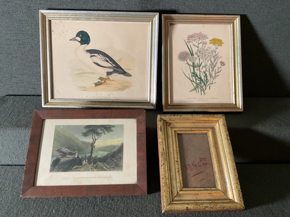 Image for Framed Prints