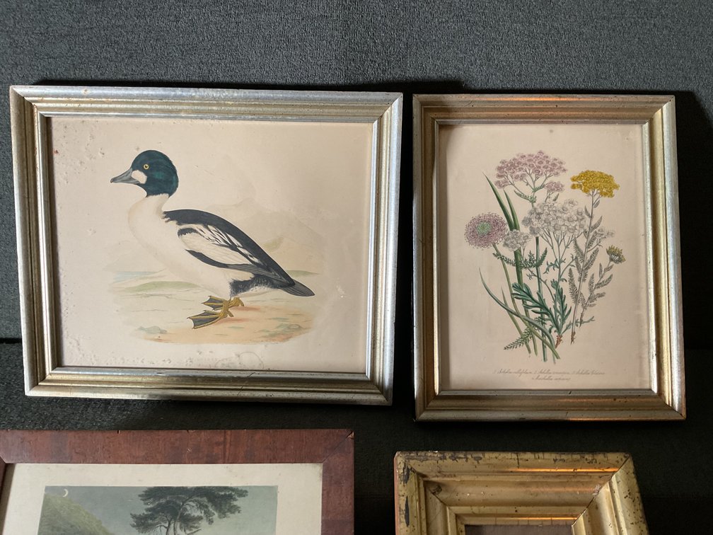 Image for Framed Prints