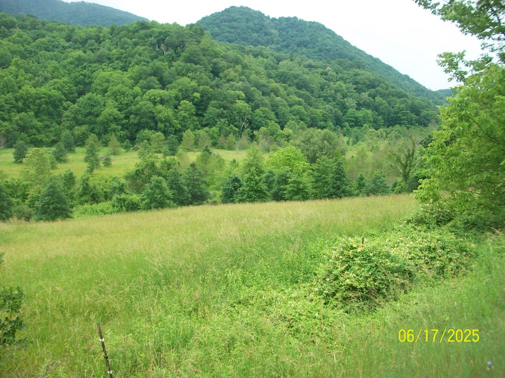 Image for Tract 2 – The tract has 49.1 acres and a barn.