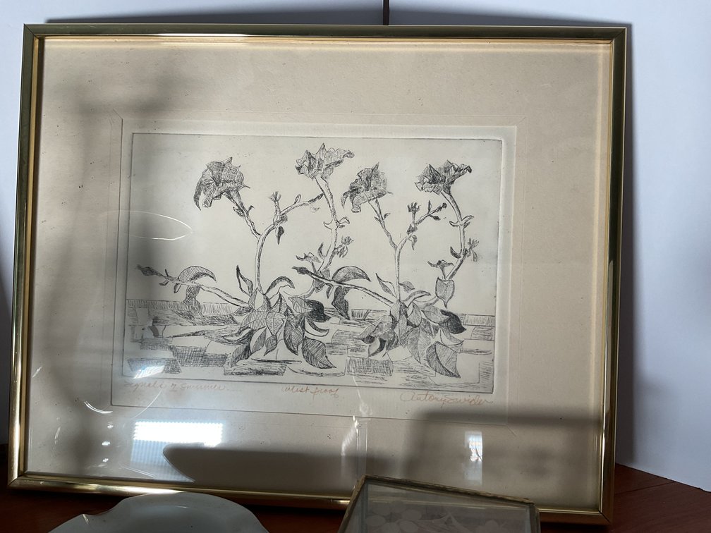 Image for Decorator’s Lot