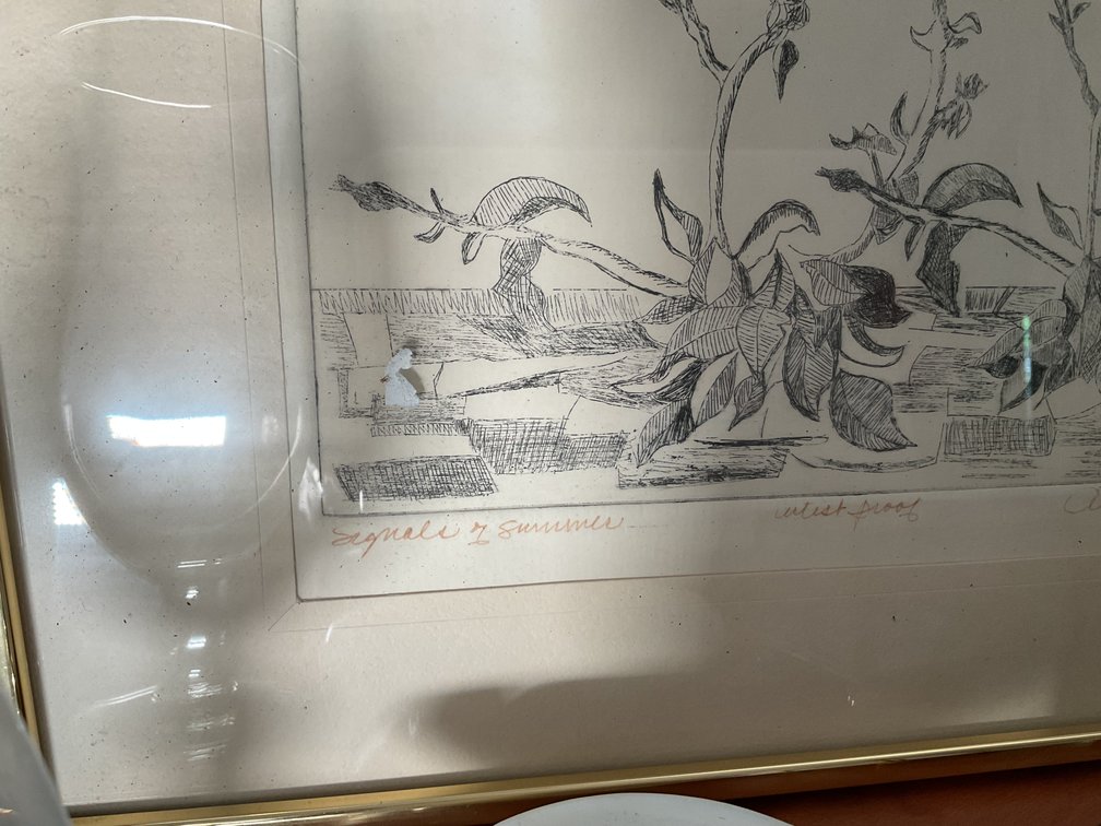 Image for Decorator’s Lot