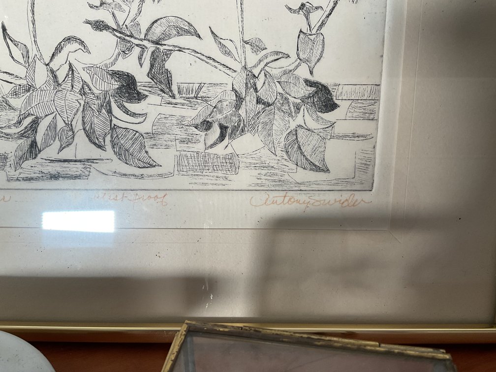 Image for Decorator’s Lot