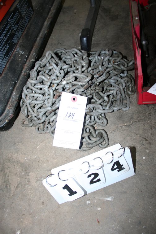 Image for Logging Chain 15 foot