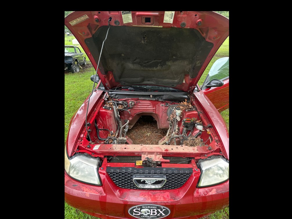 Image for 2000 Ford Mustang Passenger Car and Transmission