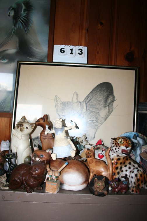 Image for Cat Collection