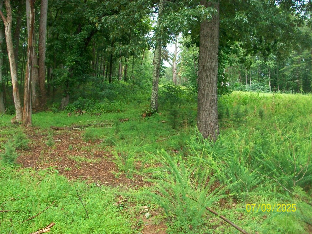 Image for Lakeside Farms Lot 82