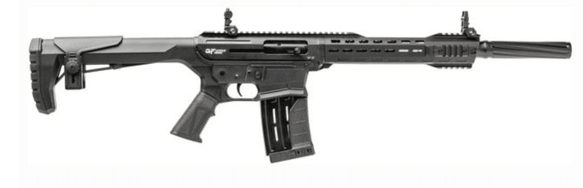 Image for GFORCE ARMS   New