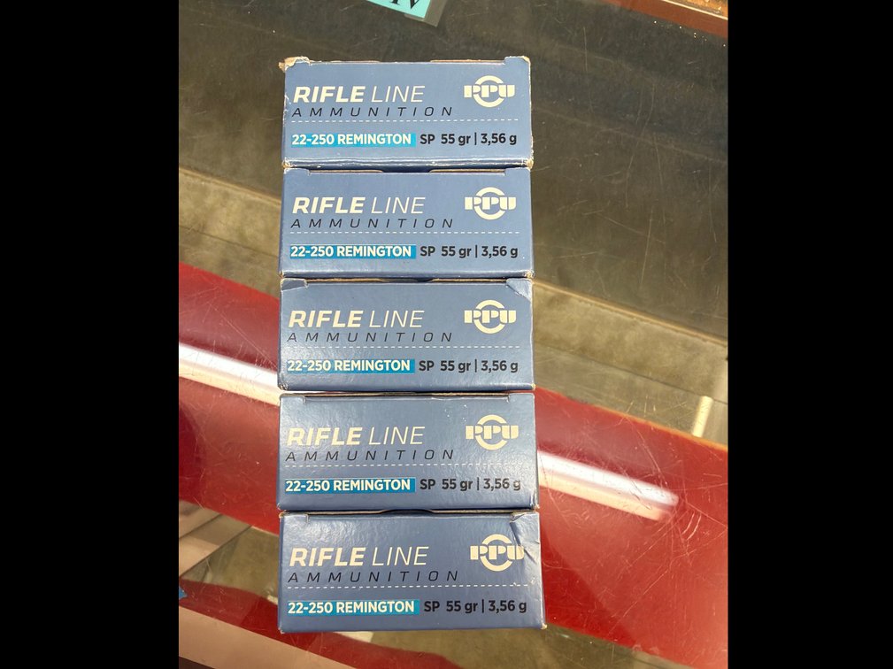 Image for 22-250 Remington 55Gr SP