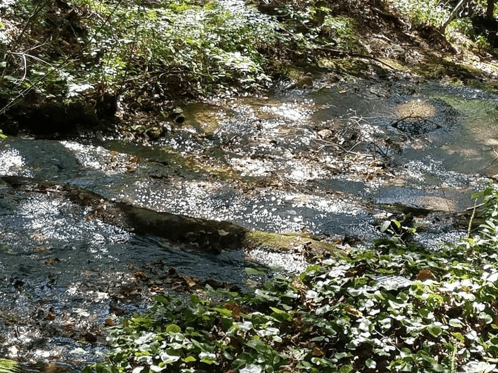 Image for 42 Waterside Court, Ellijay, GA - Bankruptcy Case #16-21136-JRS