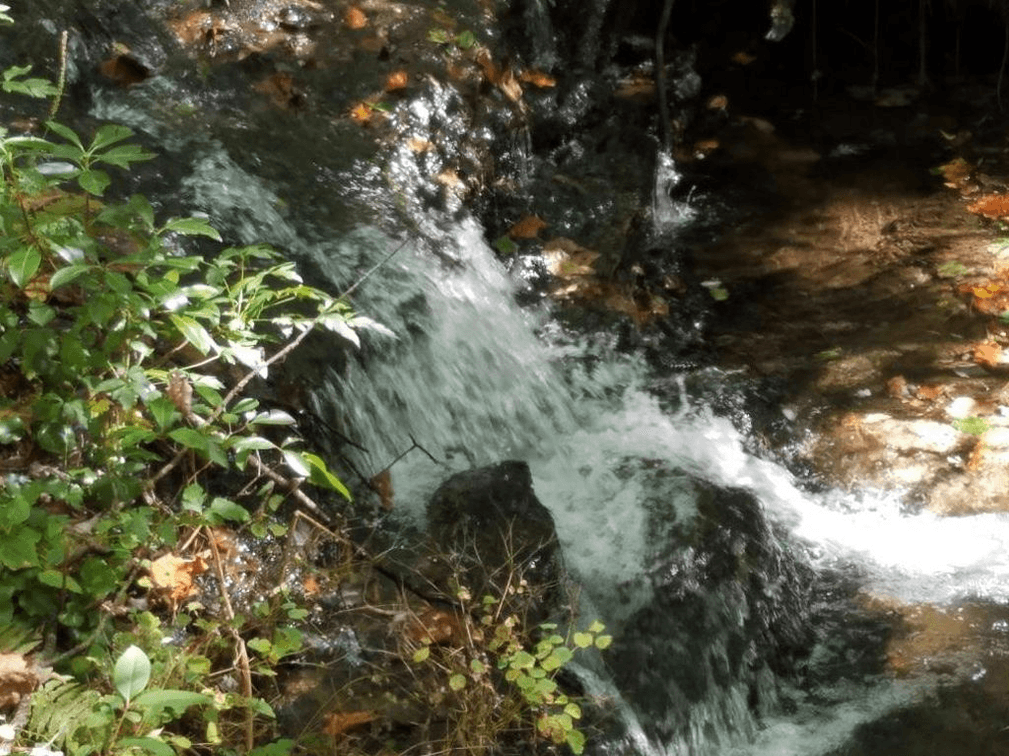 Image for 42 Waterside Court, Ellijay, GA - Bankruptcy Case #16-21136-JRS