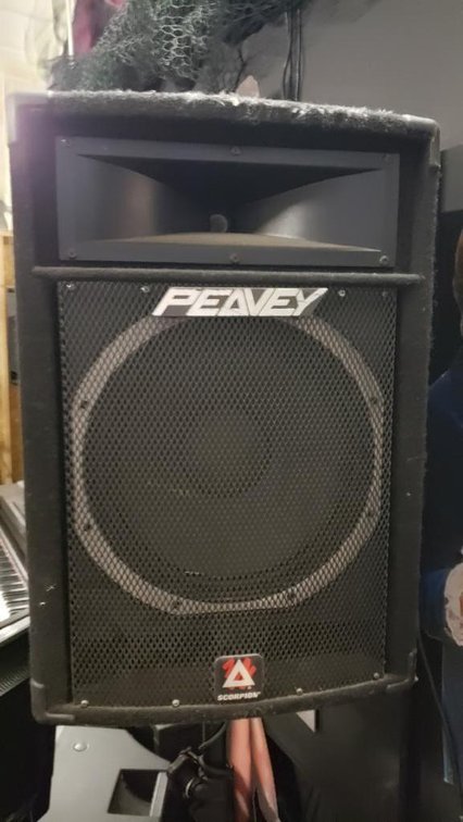 (2) Peavey SP5XL Loudspeakers