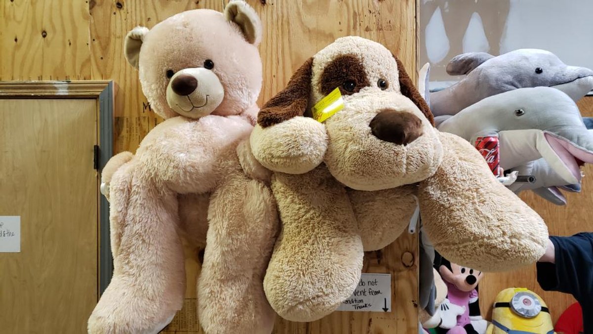 Large Stuffed Bear and Large Stuffed Dog