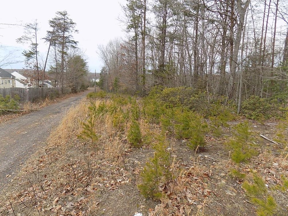 Image for Rapidan Golf Club & 8 Land Tracts