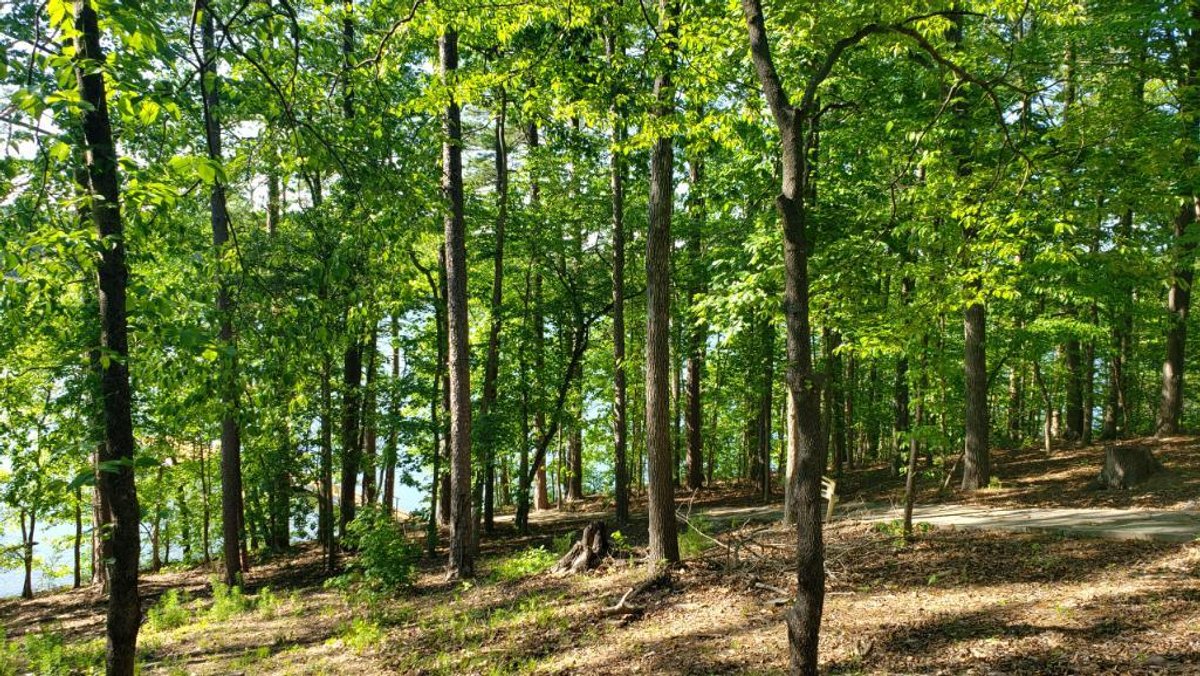 Image for Home on Lake Hartwell