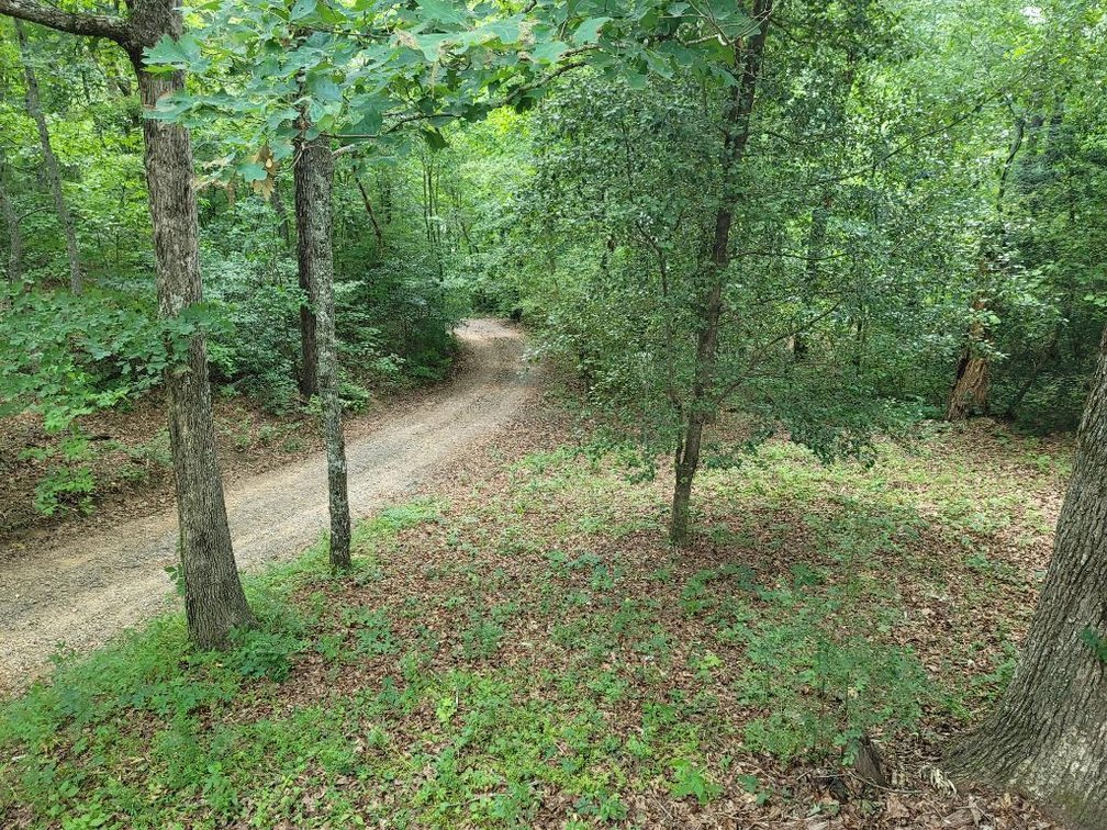 Image for Mountain Home in Blue Ridge, GA