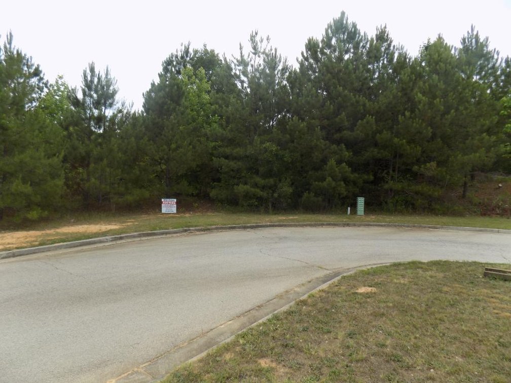 Image for Residential Lots in Flovilla and McDonough, GA
