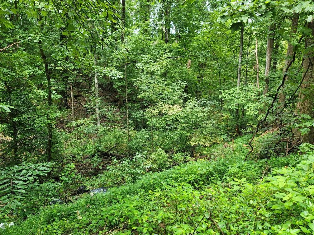 Image for Foreclosed Mountain Home with Acreage
