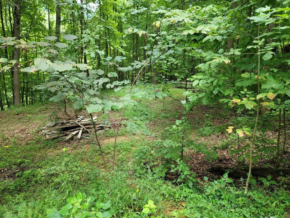 Image for Foreclosed Mountain Home with Acreage