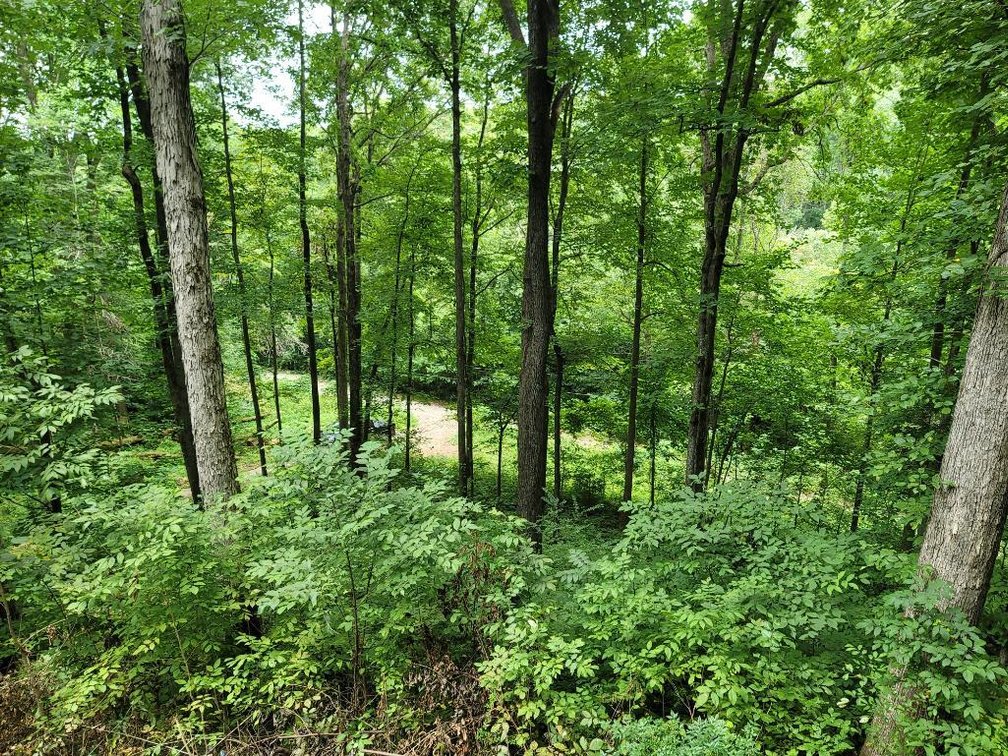 Image for Foreclosed Mountain Home with Acreage
