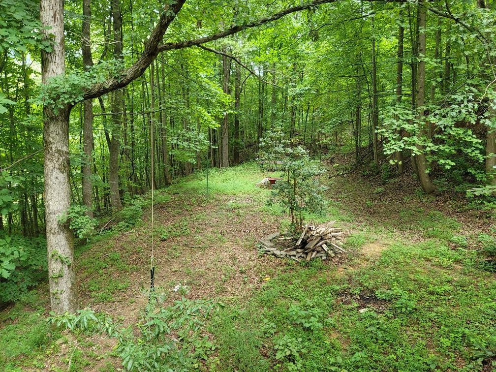 Image for Foreclosed Mountain Home with Acreage