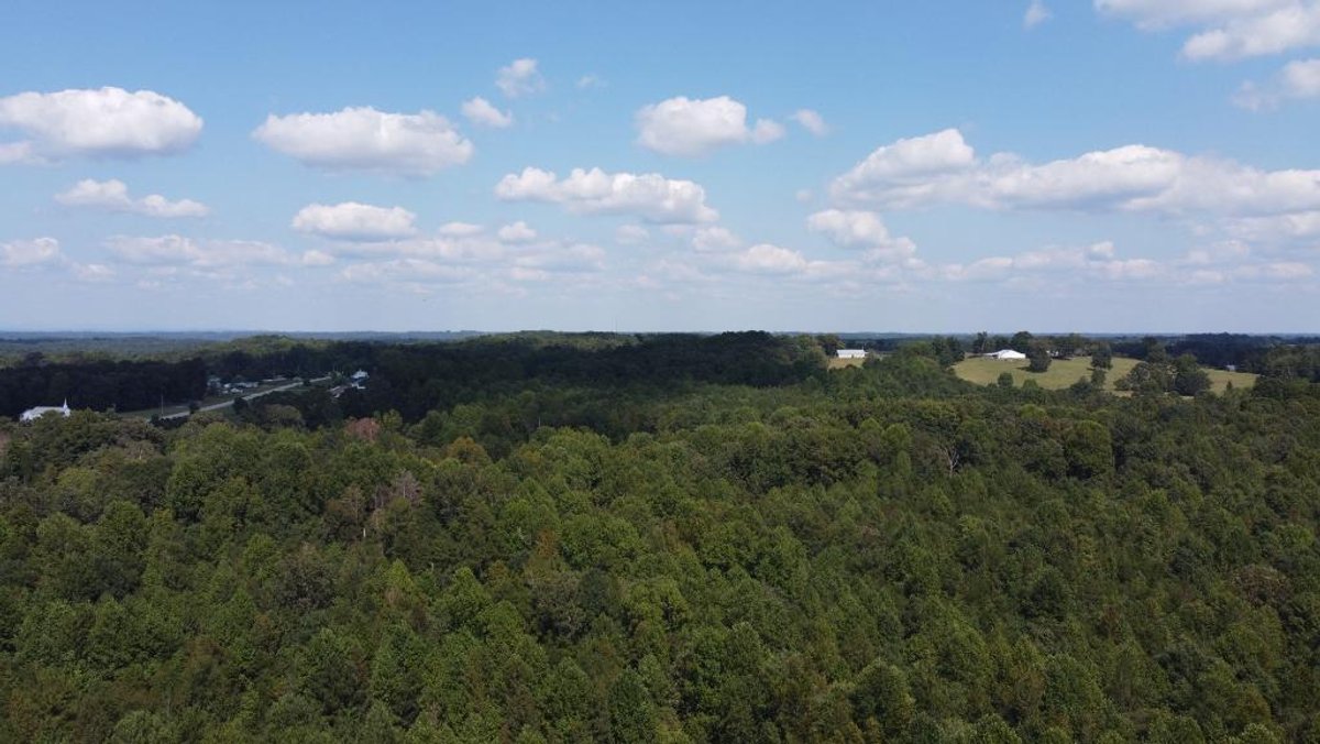 Image for Country Estate on 11.92 +/- Acres