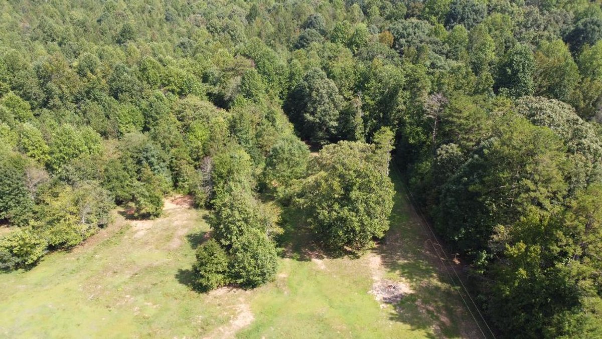 Image for Country Estate on 11.92 +/- Acres
