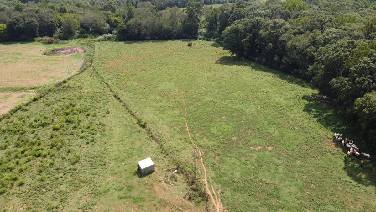 Image for 92.62 +/- Acre Farm with Multiple Houses and Structures in Hart County