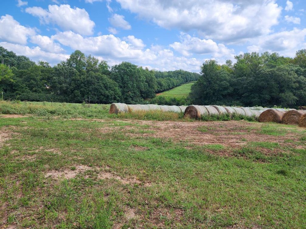Image for 92.62 +/- Acre Farm with Multiple Houses and Structures in Hart County