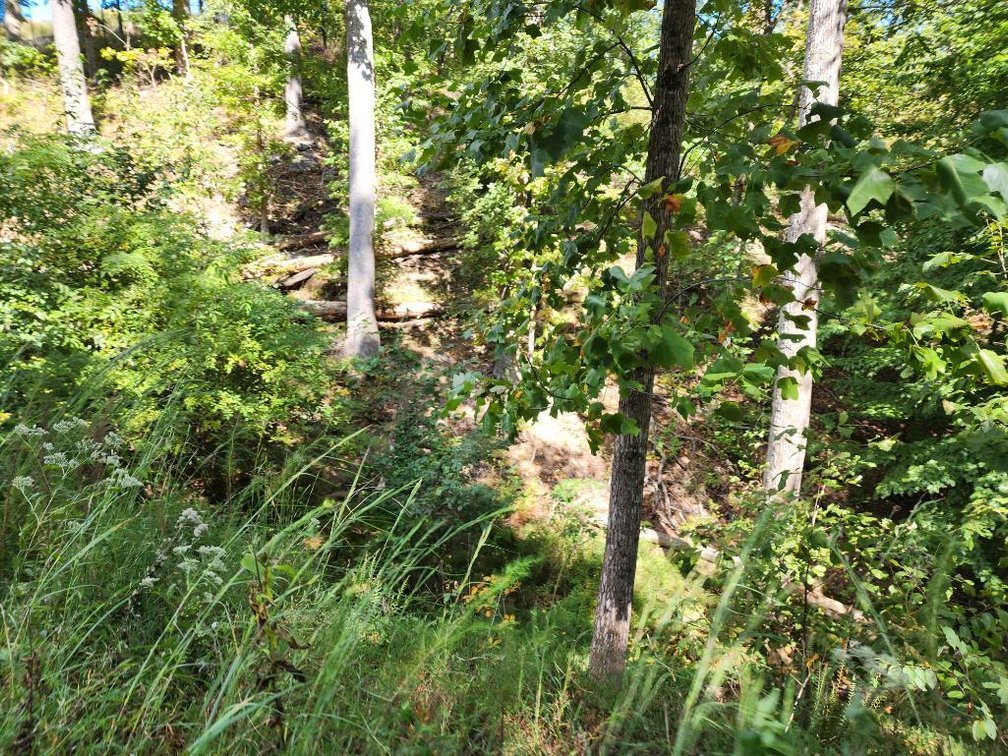 Image for 27.3 +/- Acres on Lake Lanier