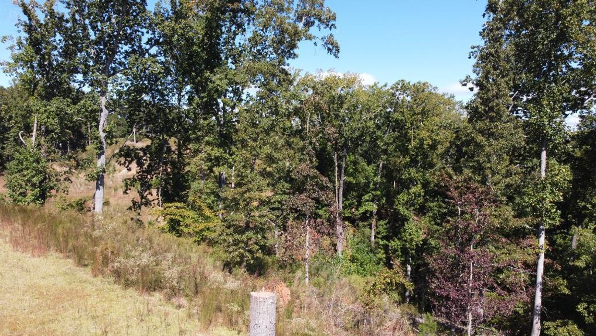 Image for 27.3 +/- Acres on Lake Lanier