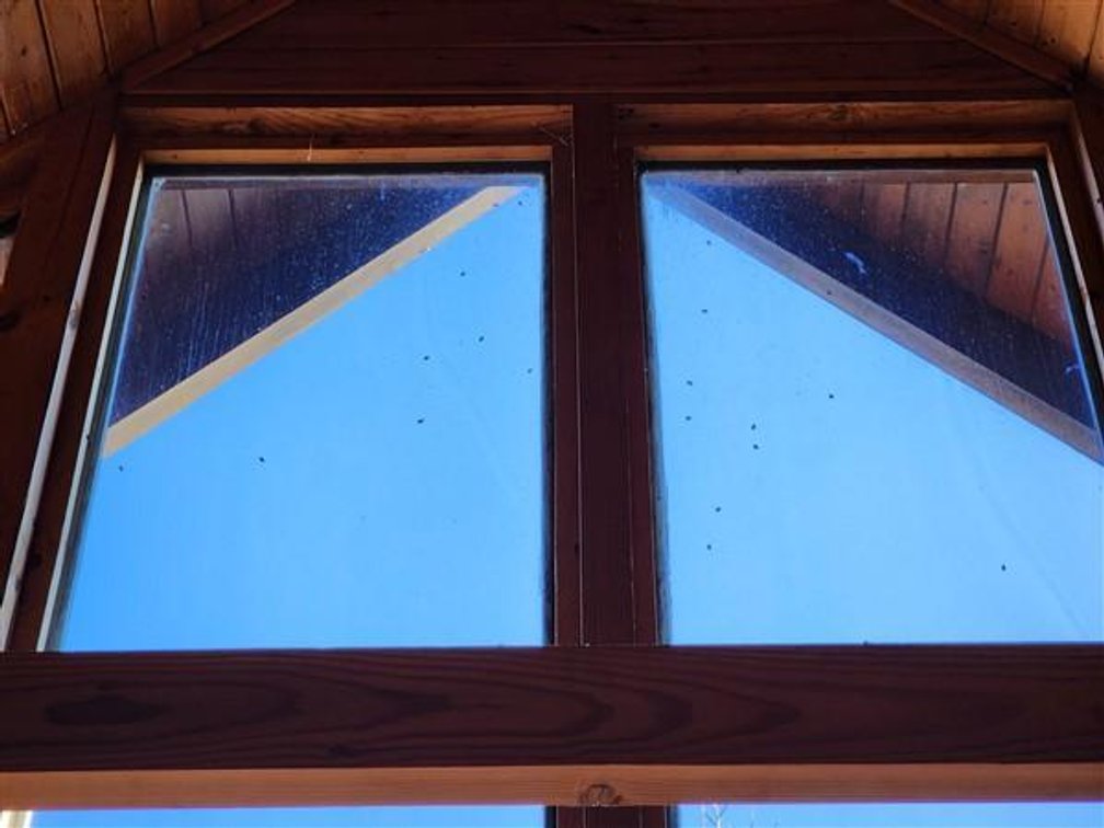 Image for Mountain Cabin on 3+/- Acres