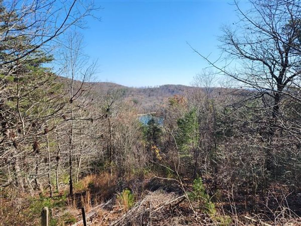 Image for Mountain Cabin on 3+/- Acres