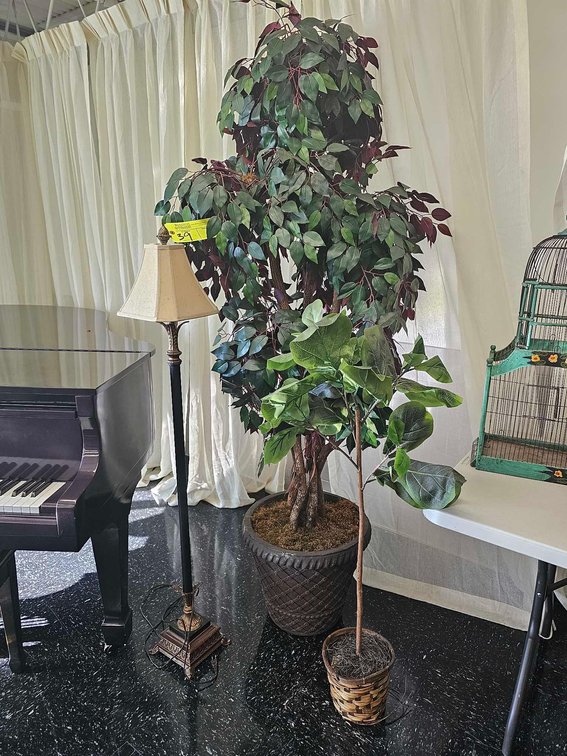 Floor Lamp, Faux Plant and Ficus Tree