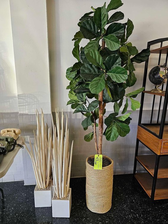 Faux Fiddle Leaf Fig Tree and Accent Plants- 6 pieces