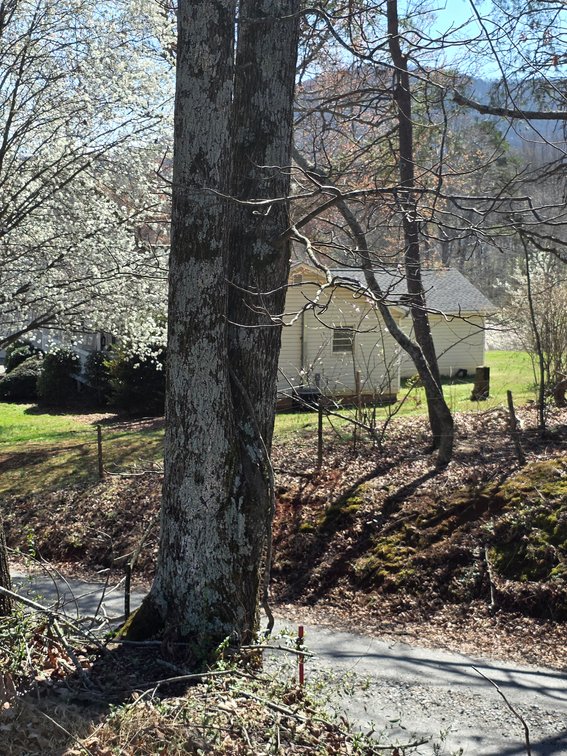 Image for Retirement / Relocation Auction of Commercial Property
