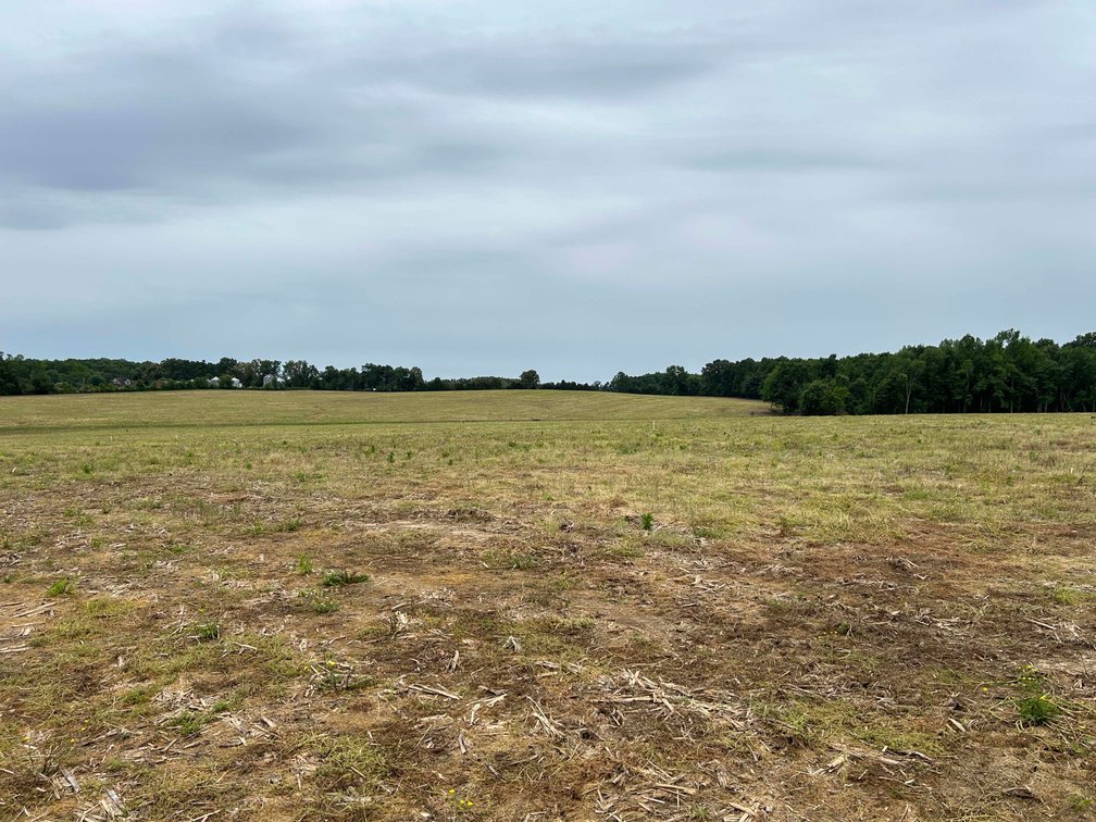 Image for Red Hill Road, Woodbury