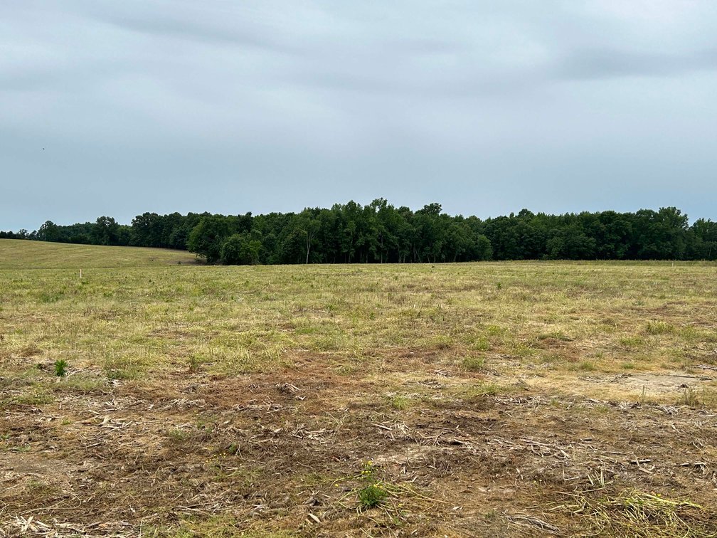 Image for Red Hill Road, Woodbury