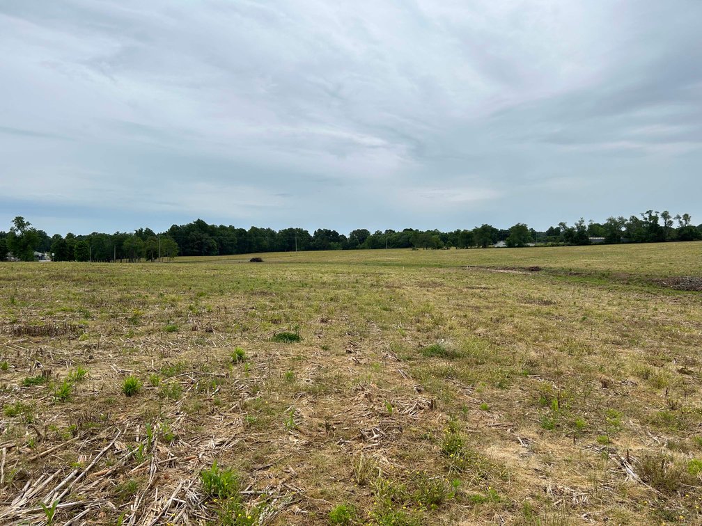 Image for Red Hill Road, Woodbury