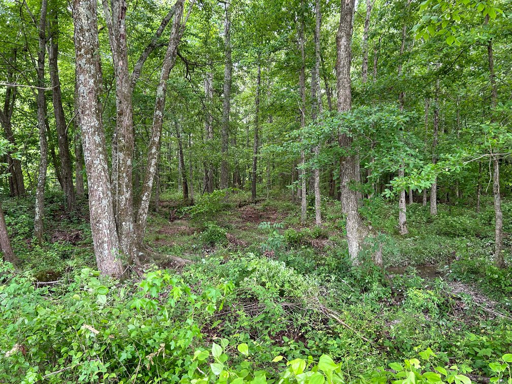 Image for Red Hill Road, Woodbury