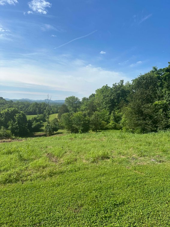 Image for 6278 Pettus Road, Antioch