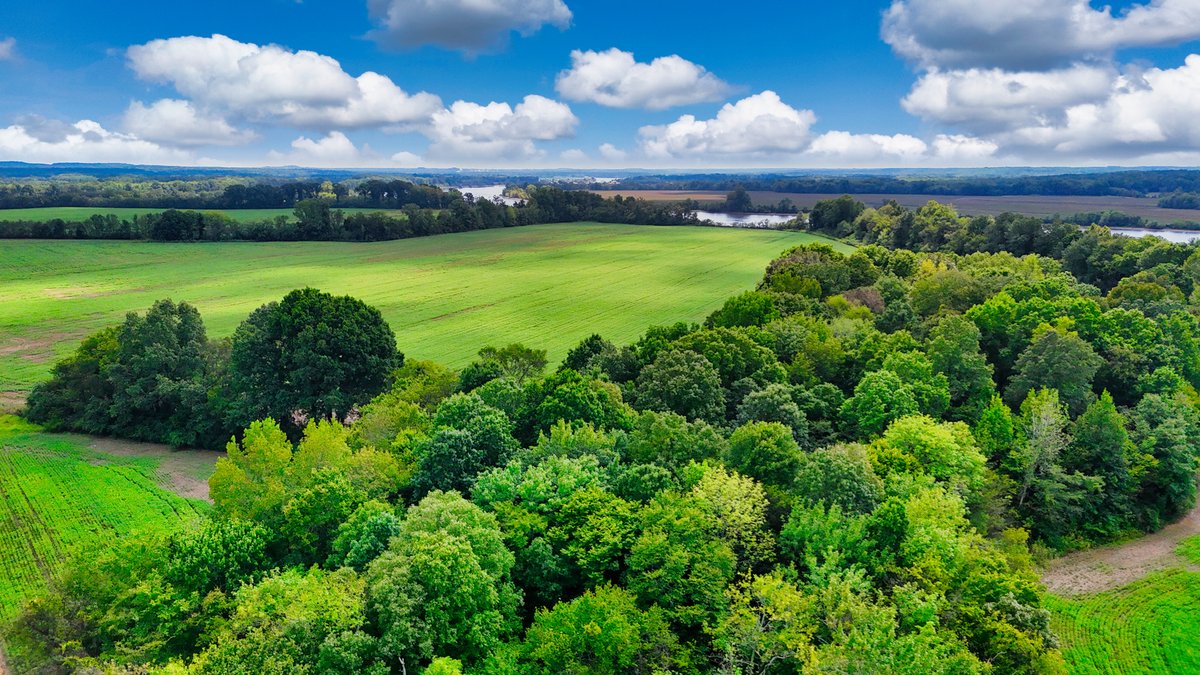 Image for Pittsburg Landing Road, Savannah TN