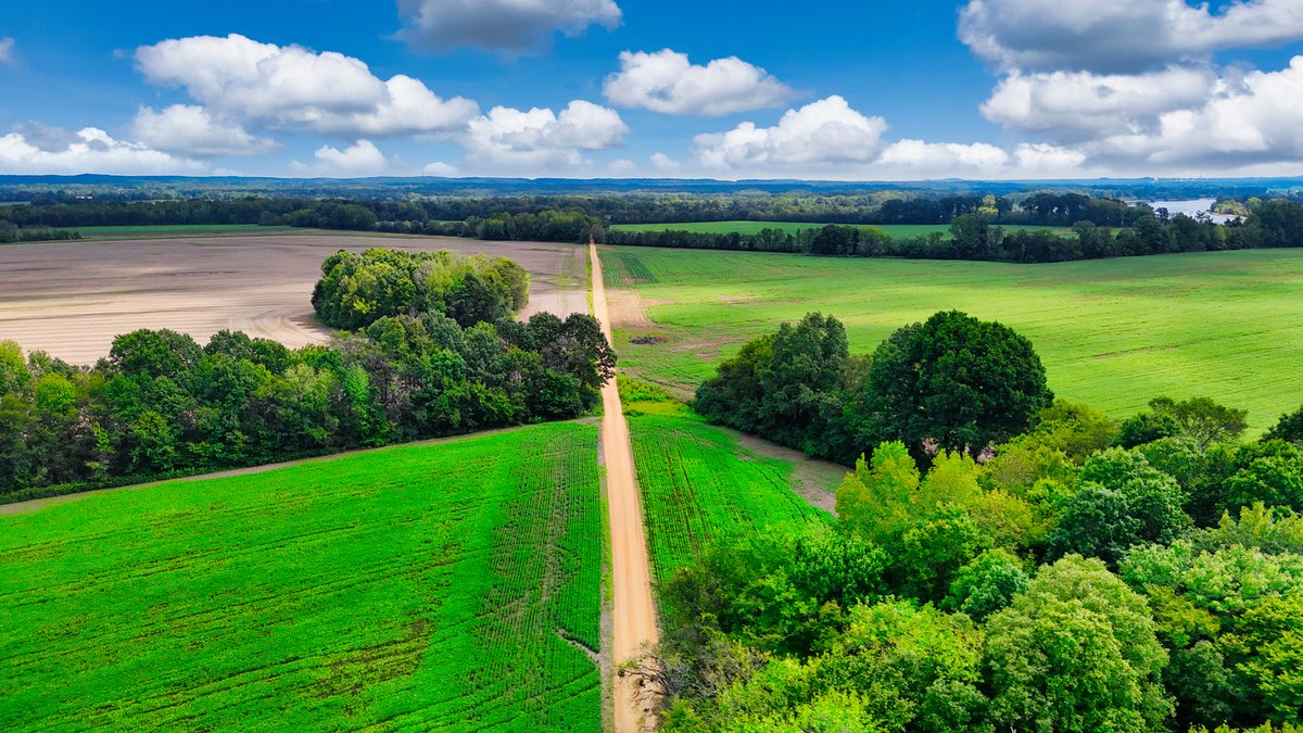 Image for Pittsburg Landing Road, Savannah TN