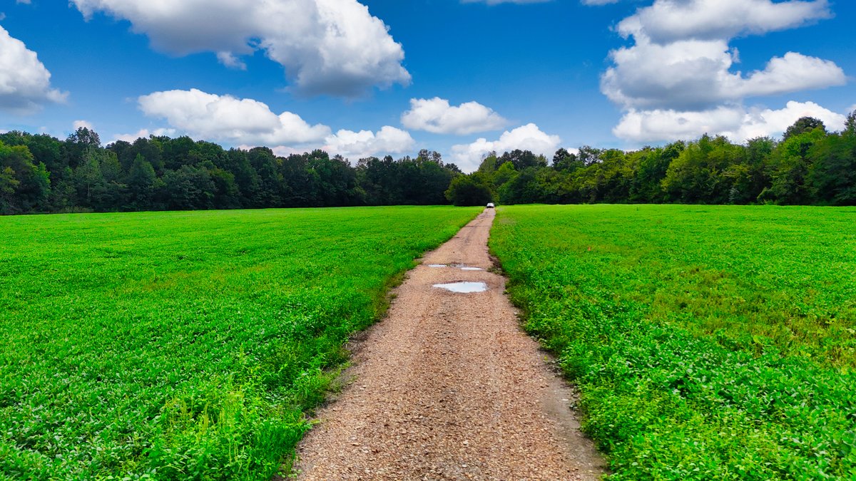 Image for Pittsburg Landing Road, Savannah TN