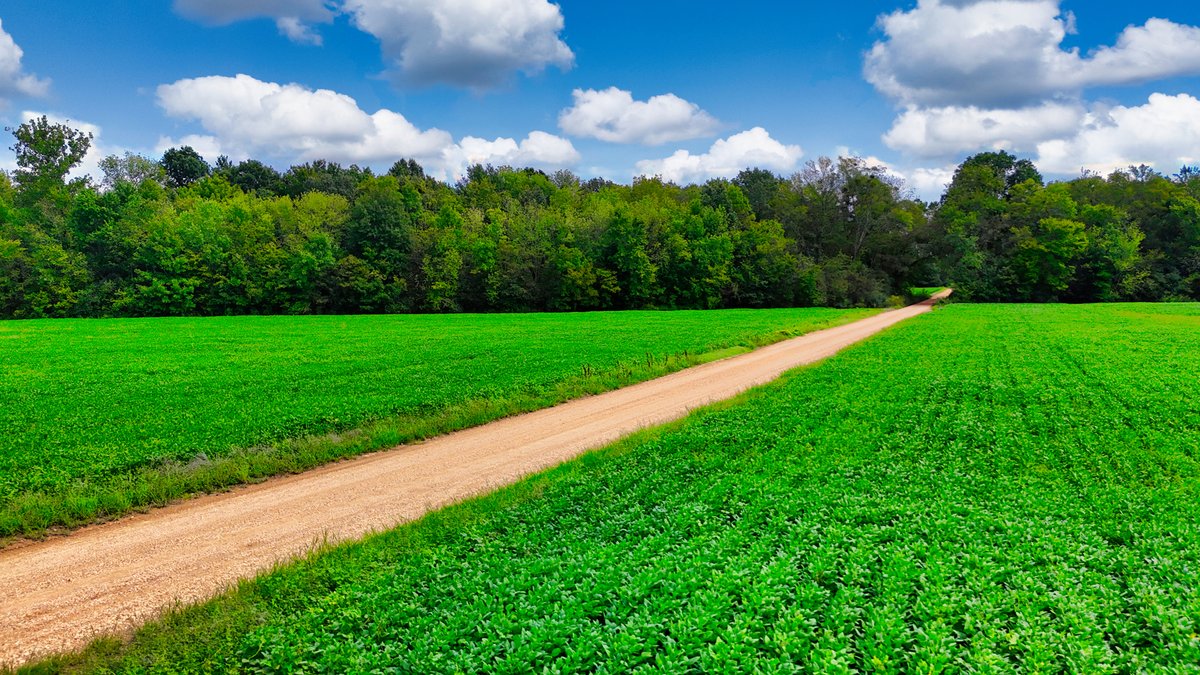 Image for Pittsburg Landing Road, Savannah TN