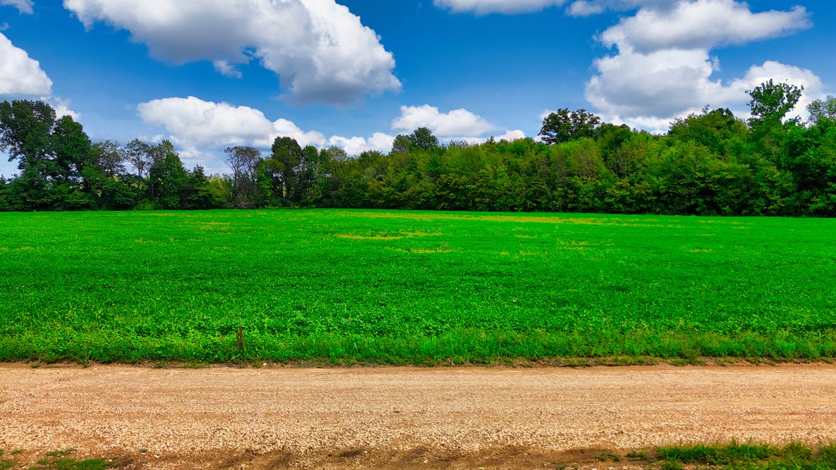 Image for Pittsburg Landing Road, Savannah TN