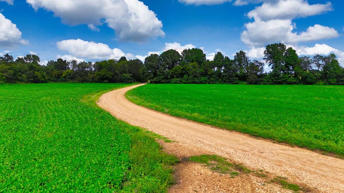 Image for Pittsburg Landing Road, Savannah TN