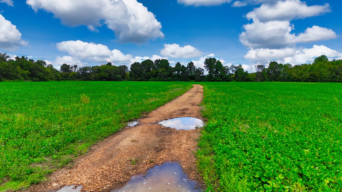Image for Pittsburg Landing Road, Savannah TN