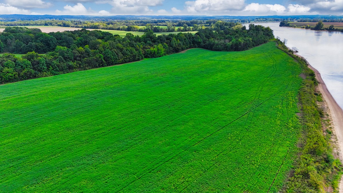 Image for Pittsburg Landing Road, Savannah TN