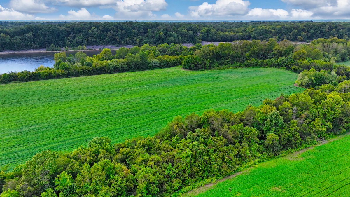 Image for Pittsburg Landing Road, Savannah TN